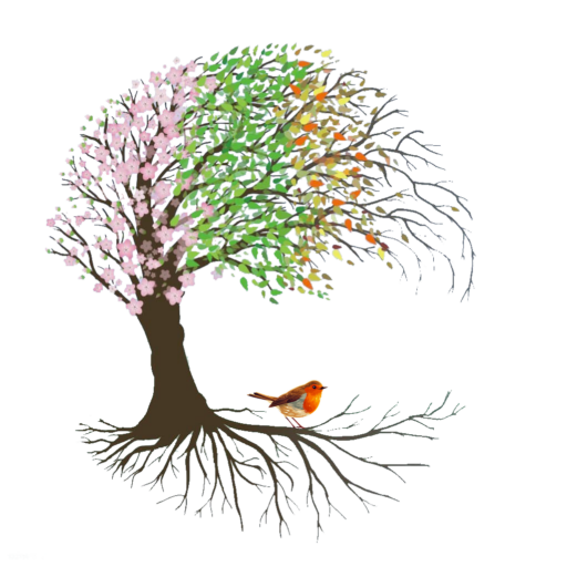 Image d'un arbre de vie, 4 saisons avec un rouge gorge symbole de guérison.
