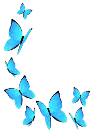 Une jolie envolée de papillons bleus